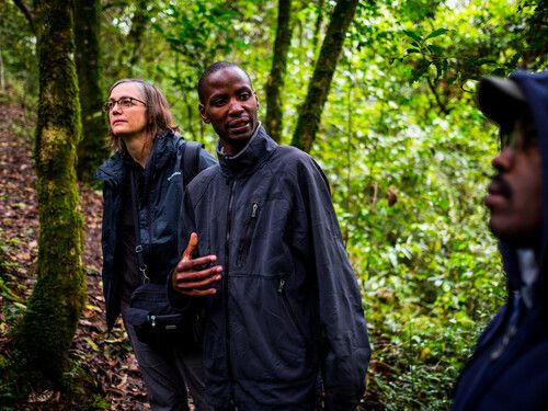 A guide talking with trekkers in Bwindi Impenetrable Forest